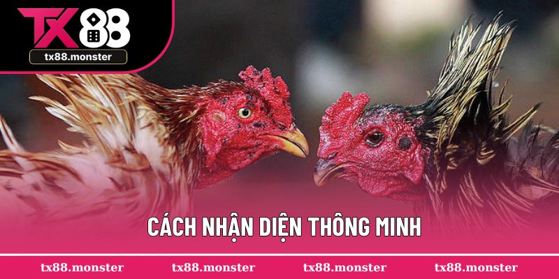 Cách nhận diện thông minh