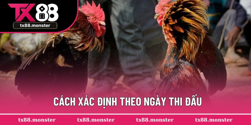 Cách xác định theo ngày thi đấu