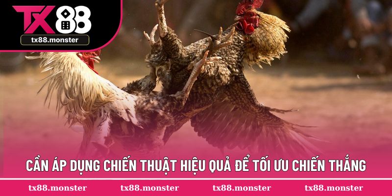 Cần áp dụng chiến thuật hiệu quả để tối ưu chiến thắng