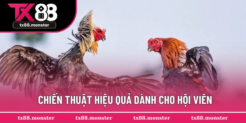 Chiến thuật hiệu quả dành cho hội viên