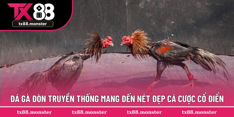 Đá gà đòn truyền thống mang đến nét đẹp cá cược cổ điển