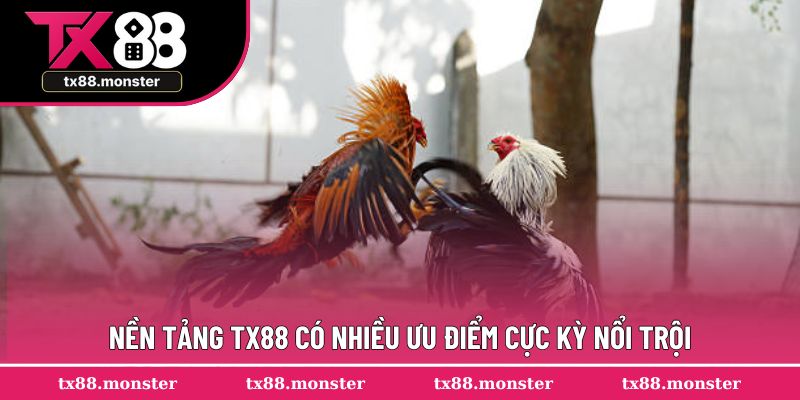 Nền tảng TX88 có nhiều ưu điểm cực kỳ nổi trội