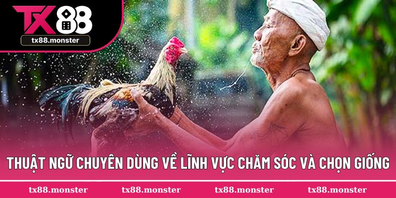Thuật ngữ chuyên dùng về lĩnh vực chăm sóc và chọn giống