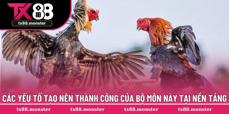 Các yếu tố tại nên thành công của bộ môn này tại nền tảng
