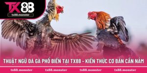Thuật Ngữ Đá Gà Phổ Biến TX88 - Ngôn Ngữ Chuyên Ngành